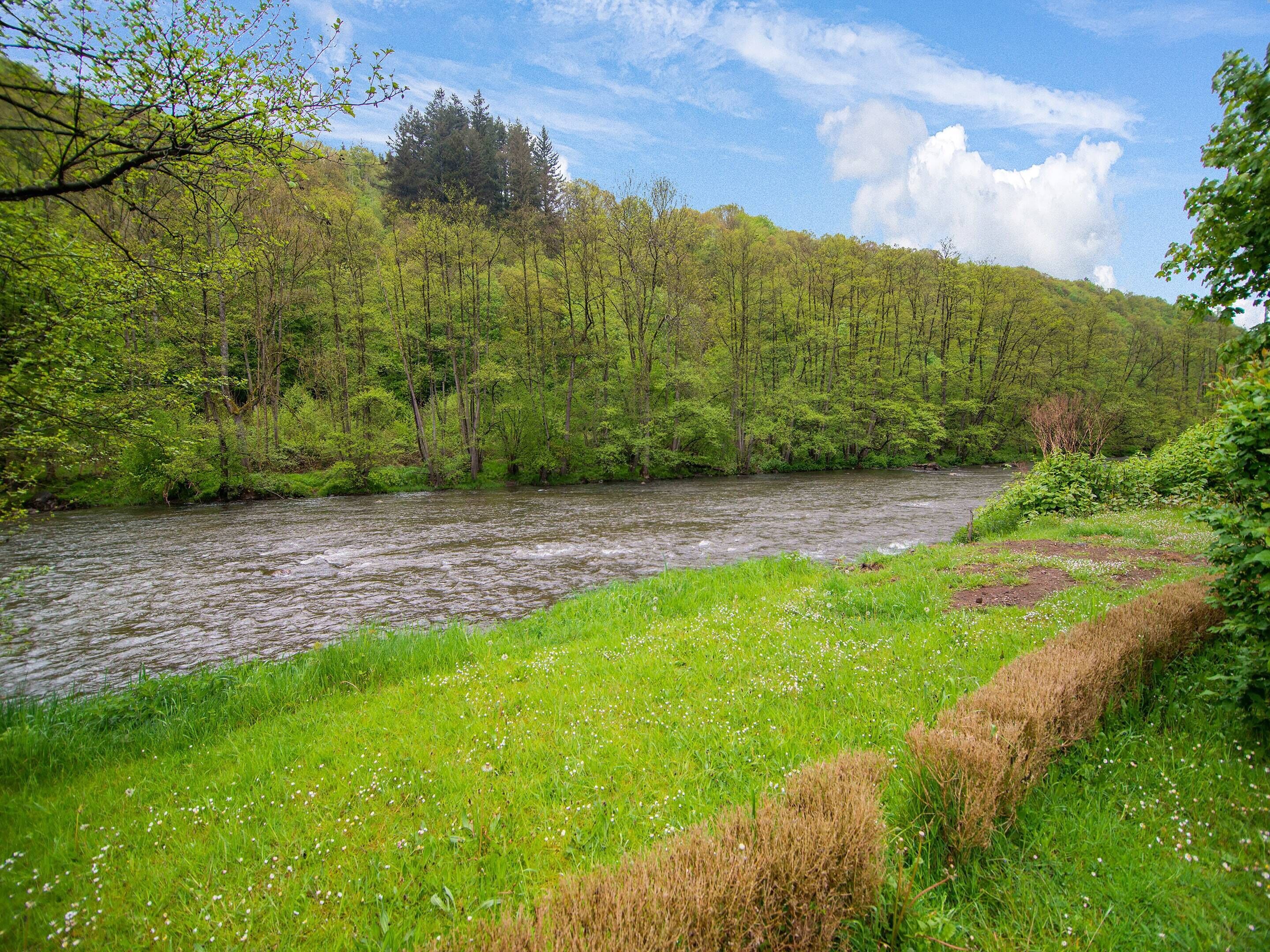 A river flowing through a lush, green landscape with dense trees and grassy banks.