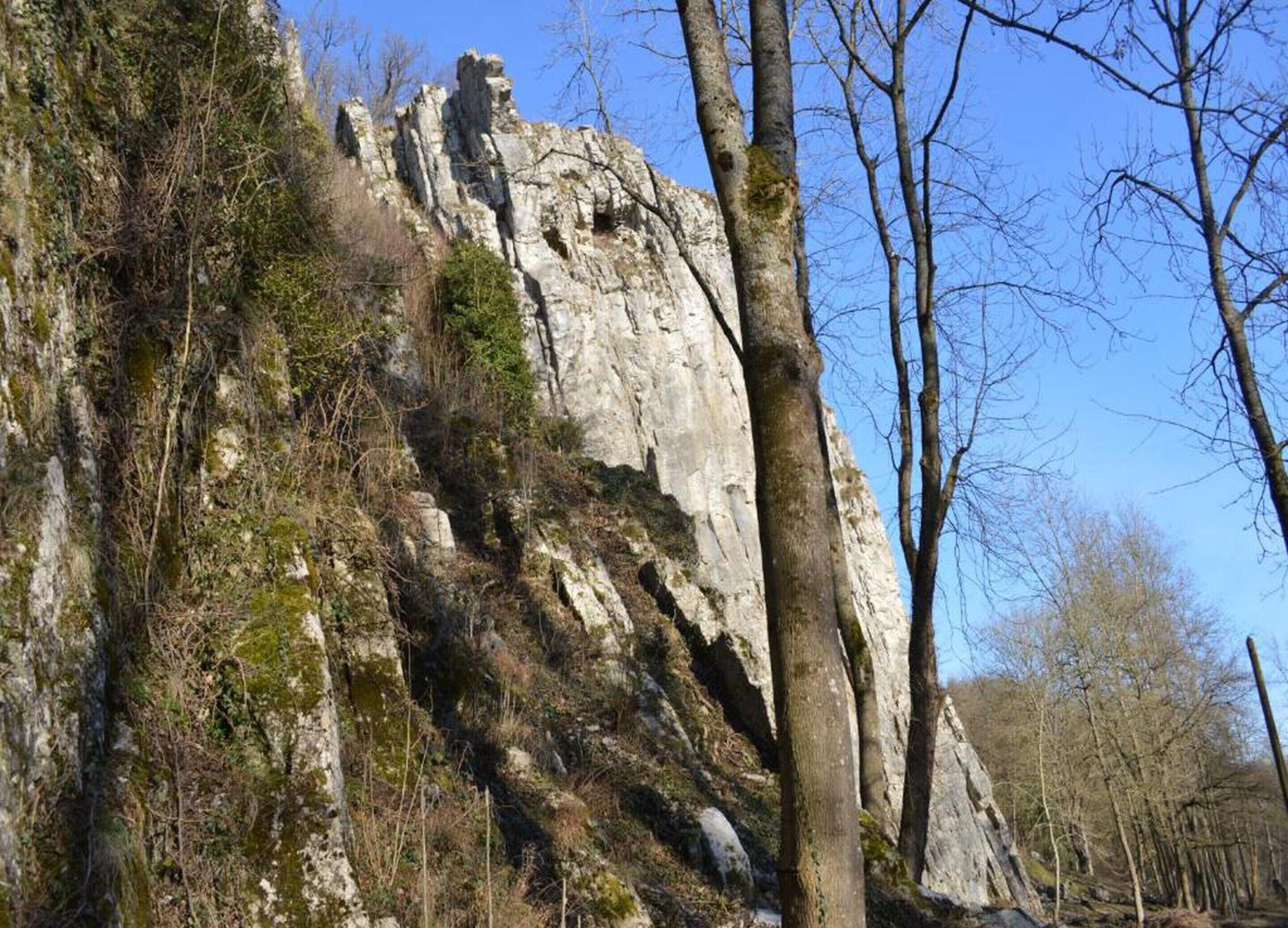 A rocky cliff with sparse vegetation and trees.