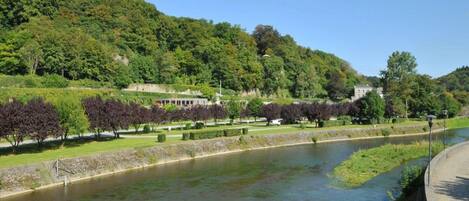 A river with a bridge, surrounded by lush greenery and buildings.