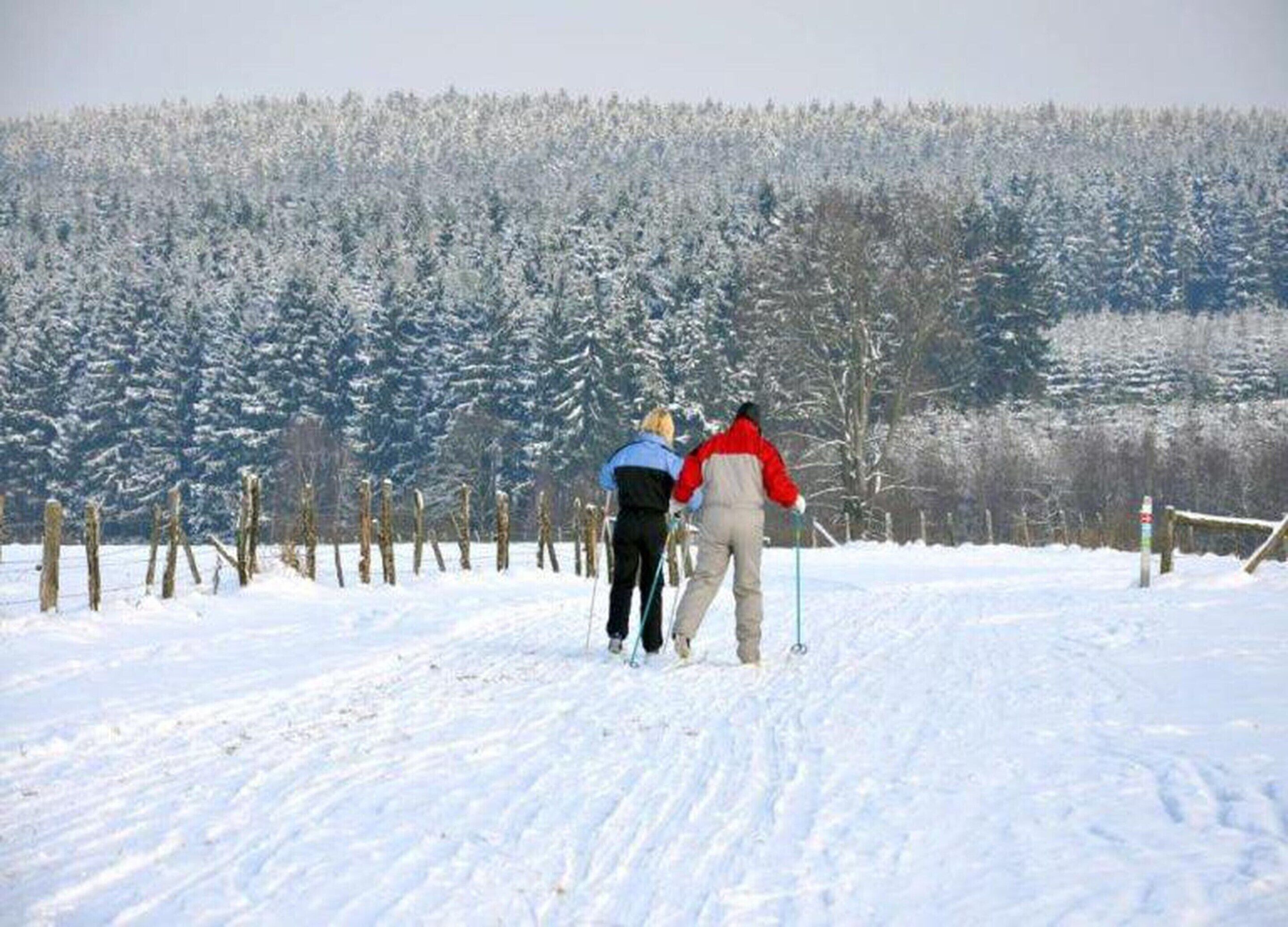Ett snötäckt landskap med ett staket och träd i bakgrunden.