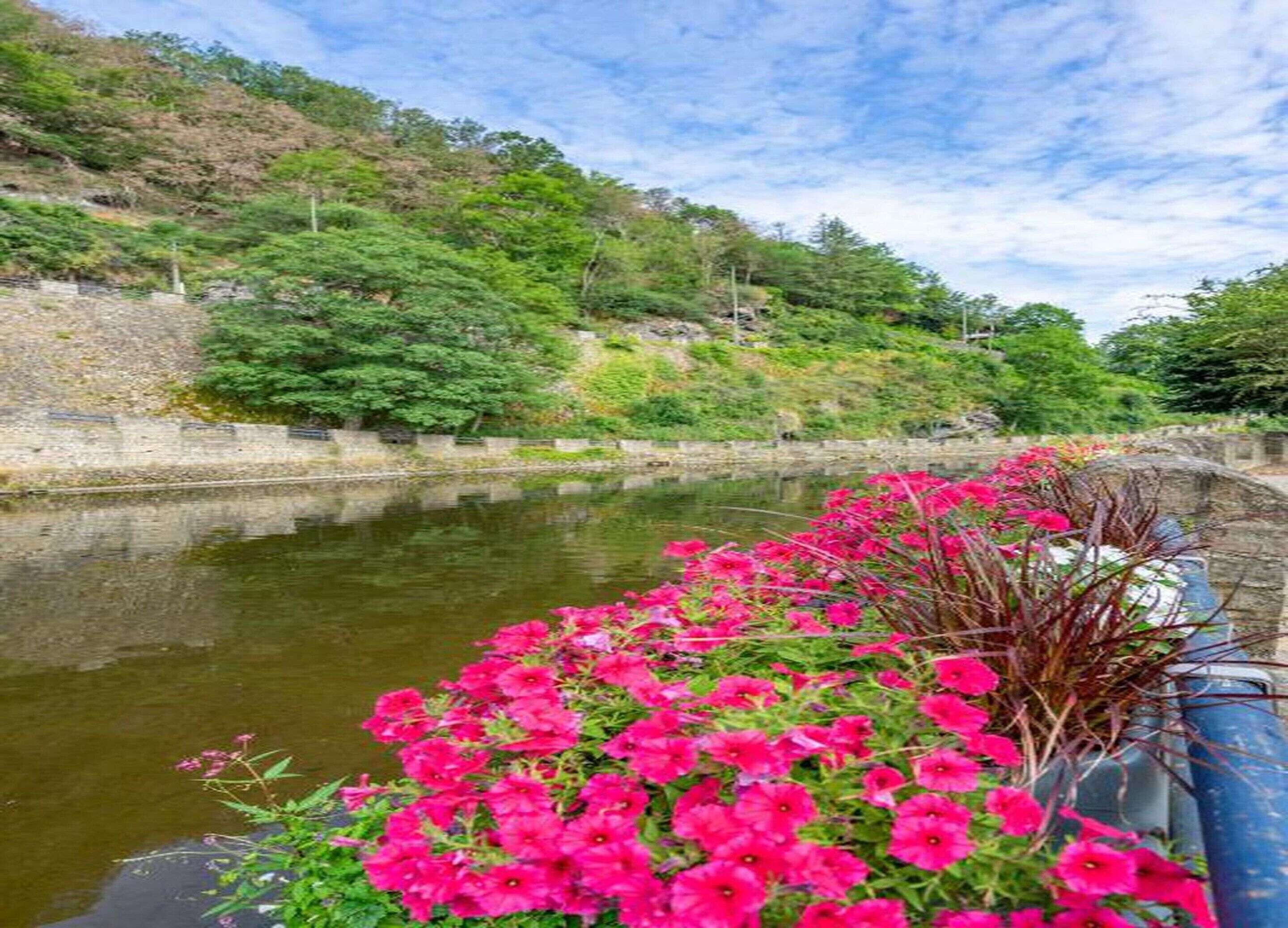 Un río con flores rosadas al frente y un muro de piedra a la izquierda.