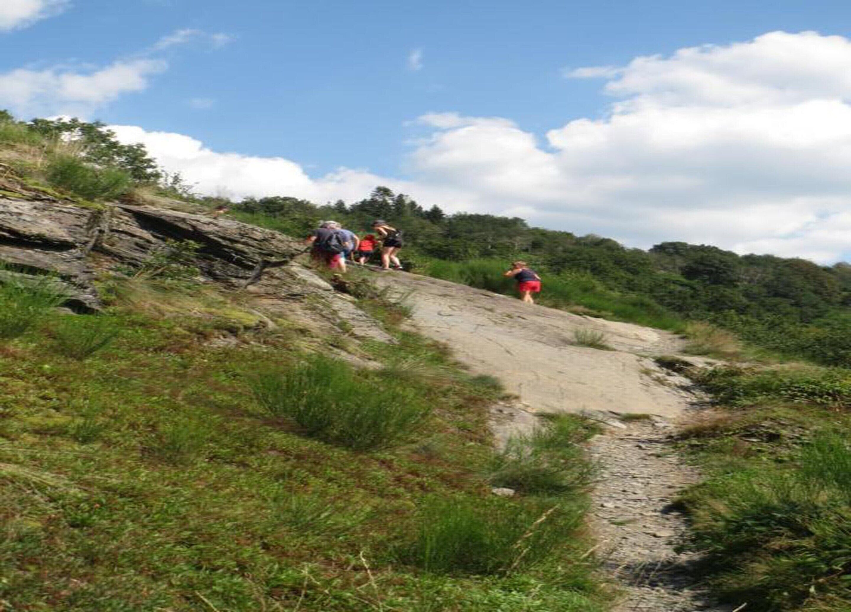 A group of people hiking on a dirt path surrounded by greenery and rocks.