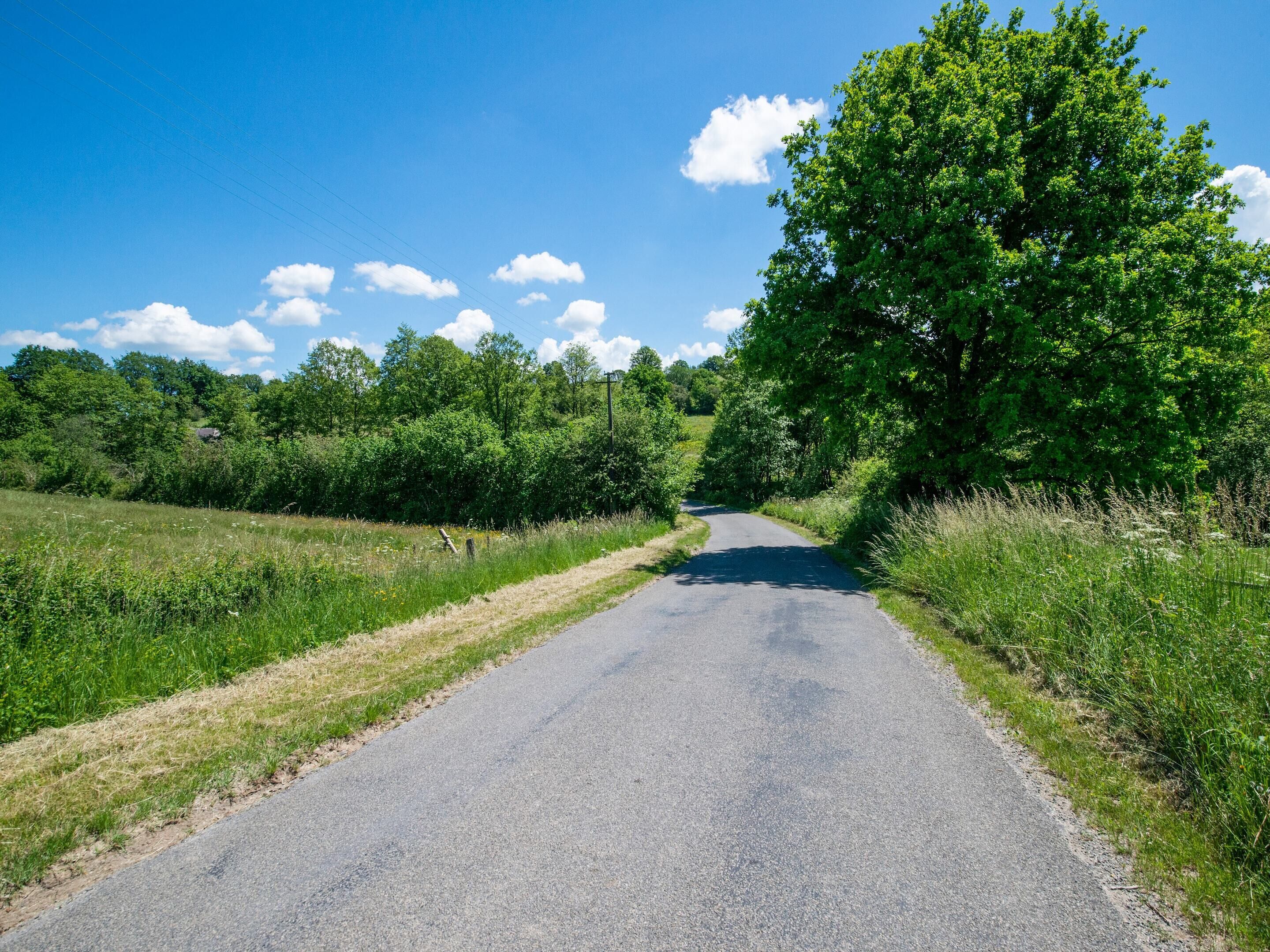 Een landelijke weg, omzoomd door weelderige begroeiing en bomen.