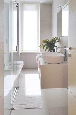 Regadera, regadera tipo lluvia, secadora de cabello, bidet 