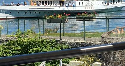 vue panoramique, grand balcon, plein soleil, lumineux et fonctionnel,parking.