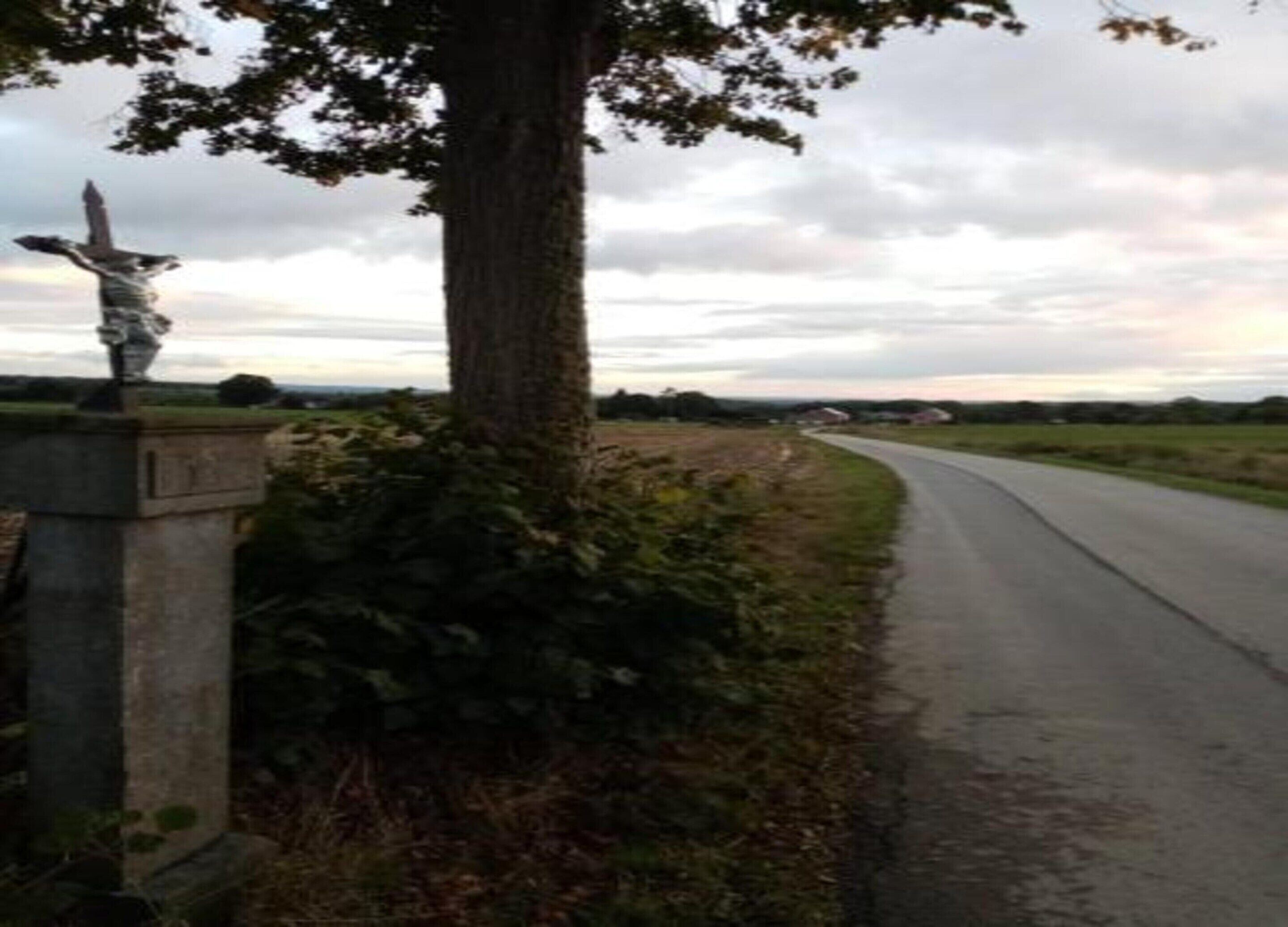 A rural road with a tree and a statue on the left.