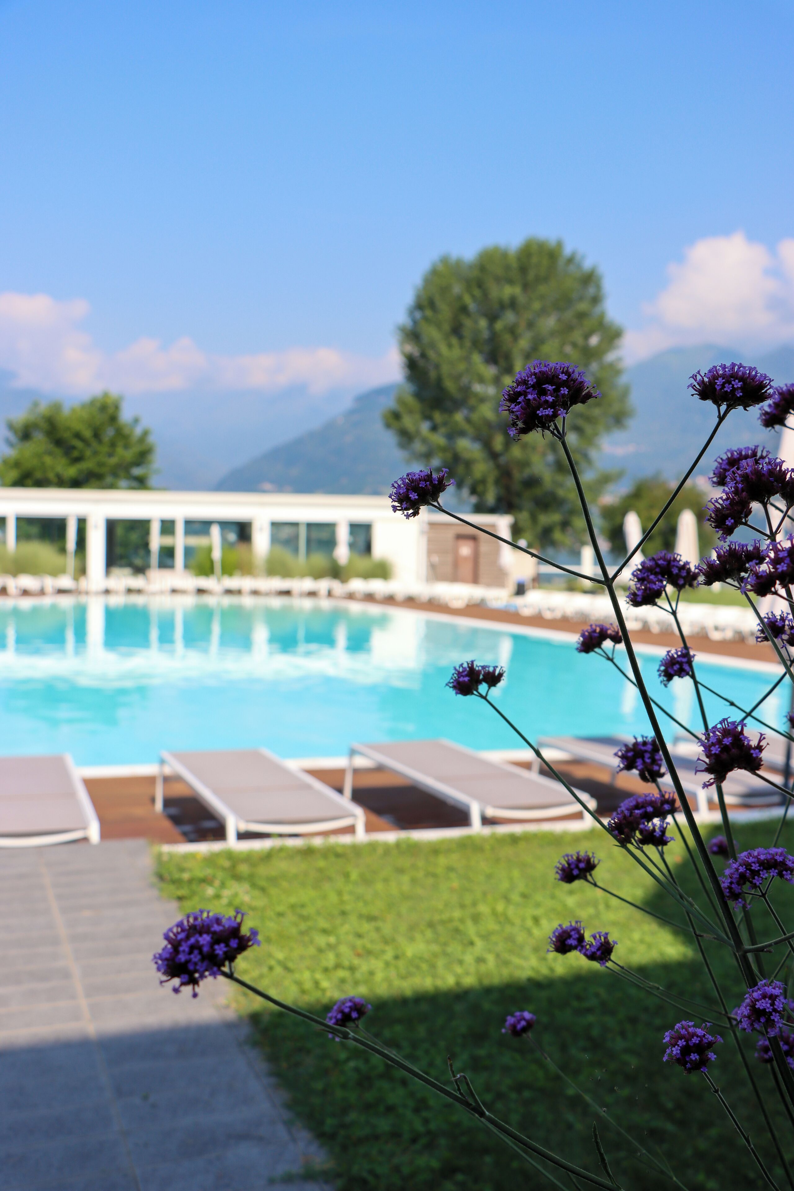 حمّام سباحة خارجي موسمي، مظلات على حمّام السباحة، مقاعد للتشمس