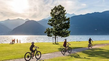 A grassy path with cyclists, a large tree, and mountains in the background.