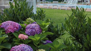 A poolside area with lounge chairs and umbrellas, surrounded by lush greenery and hydrangea flowers. - Seven Park Hotel Lake Como - Adults Only (Colico)