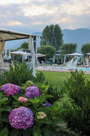 Seasonal outdoor pool, pool umbrellas, sun loungers