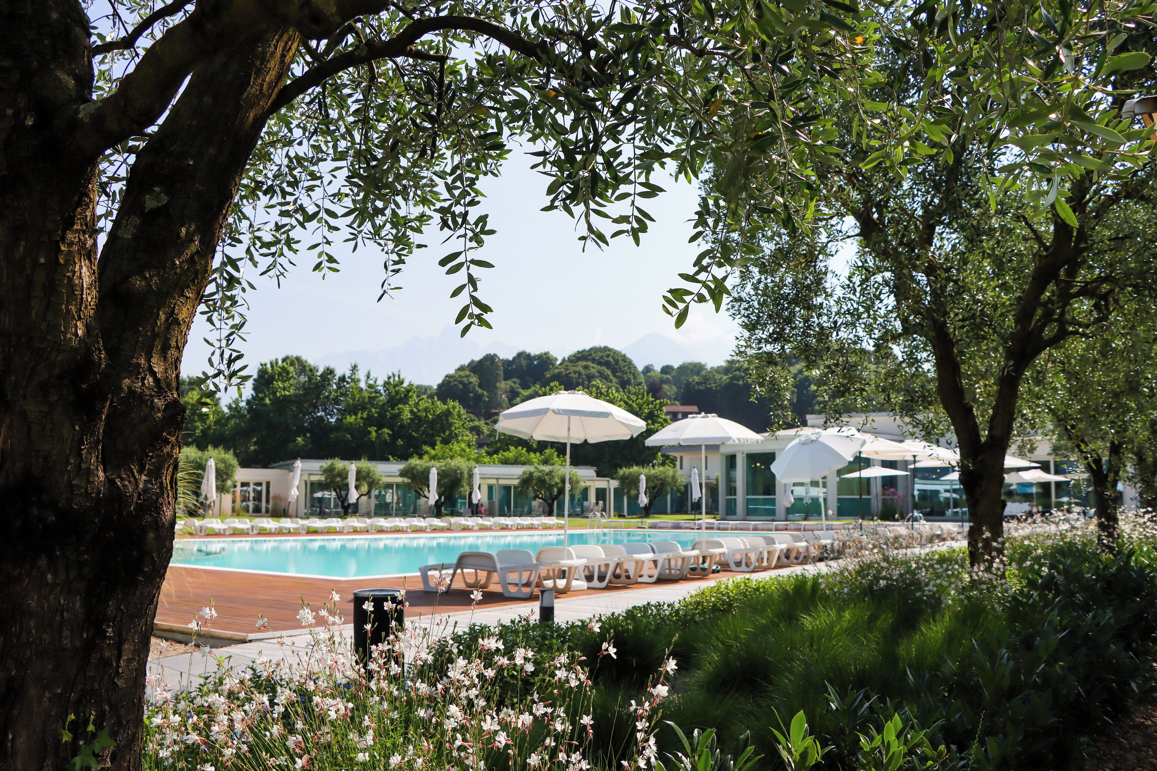 A pool area with lounge chairs and umbrellas, surrounded by greenery and trees.