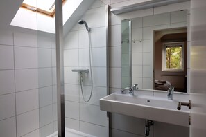 A modern bathroom with a skylight, a shower, and a sink with a mirror.
