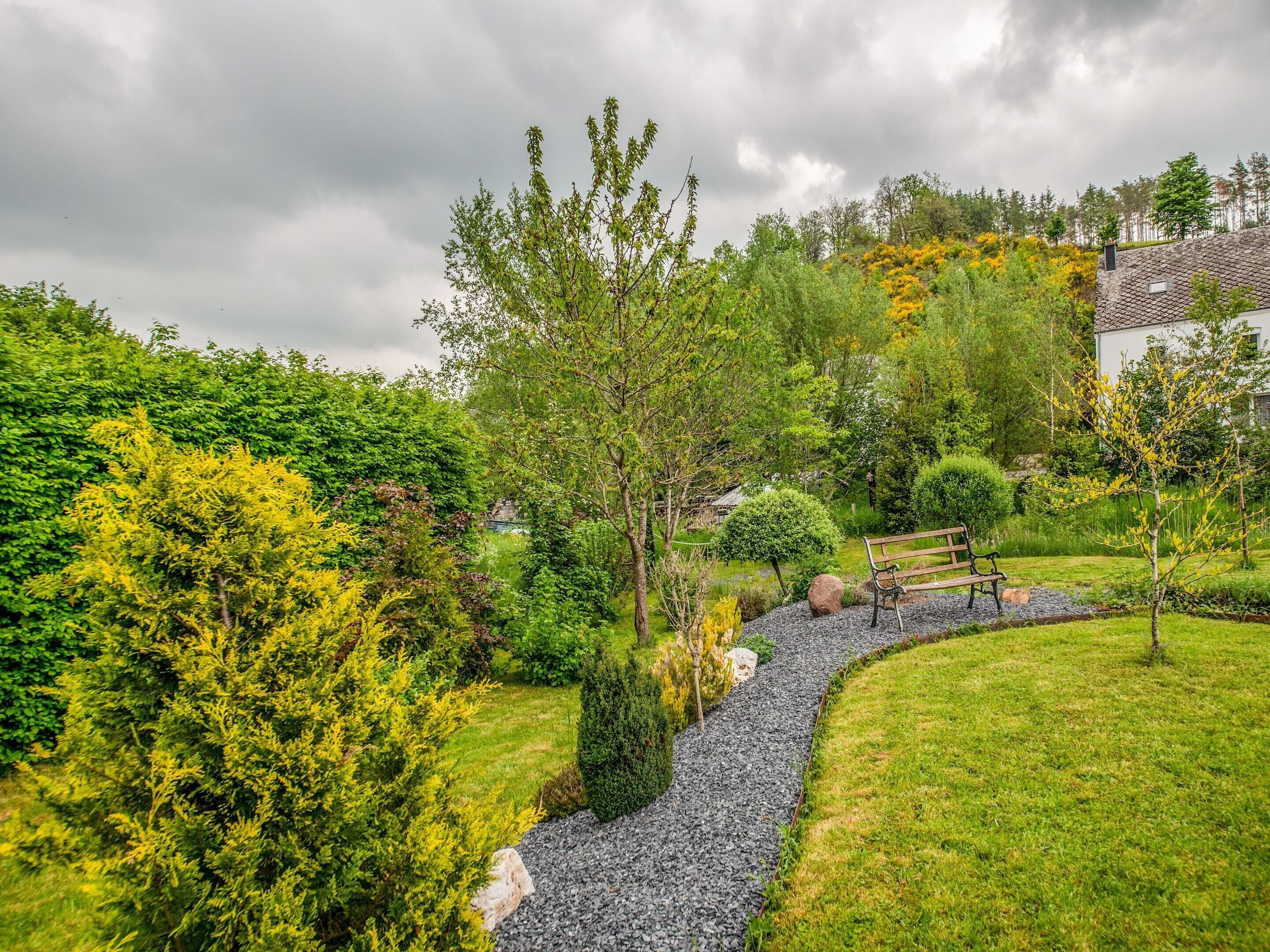 A garden with a winding gravel path, various shrubs, and a bench.