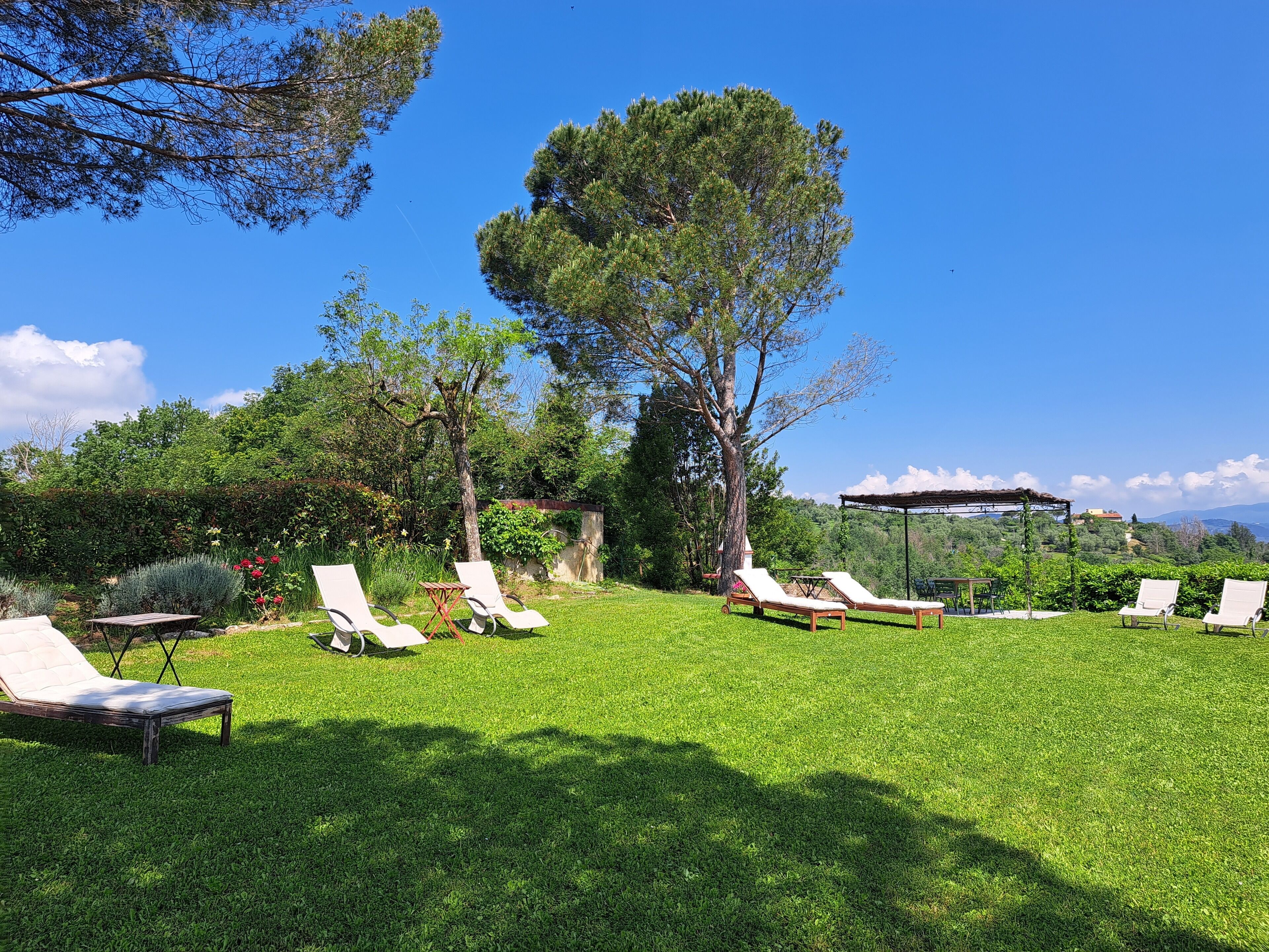 A well-maintained lawn with several white lounge chairs and a small table, surrounded by trees and a clear blue sky.