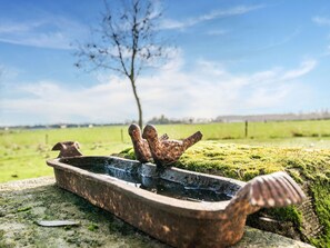 House | Interior detail - Holiday Home Het Zuidgoed With Garden (Zedelgem)