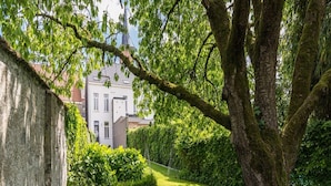 A well-maintained garden with a large tree, a hedge, and a building in the background.