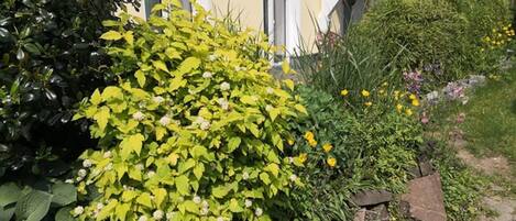 Appartement | Extérieur