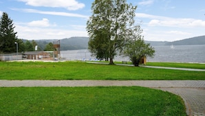 Un parque con un sendero, un árbol grande y un lago.