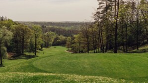 A golf course with a well-maintained green, surrounded by dense trees and a hilly landscape. - Chalet in Rendeux With Garden (Rendeux)