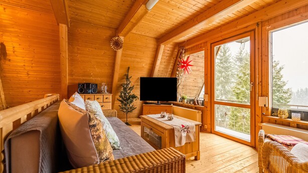 A cozy cabin interior with a wooden ceiling, a sofa with cushions, a small Christmas tree, a television, and a large window offering a view of trees. - Gemutliches Waldversteck in Suhl (Suhl)