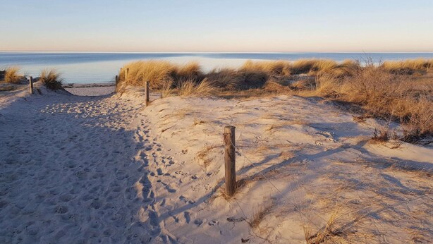 Ein sandiger Strand mit einer Holzzaun und trockenem Gras.