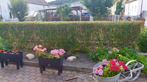 A garden area with potted plants and a wheelbarrow.