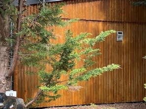 A wooden fence with a number sign '61' and a tree in front of it. - Holiday Home With Direct Access to the Beach (Ostseebad Baabe)