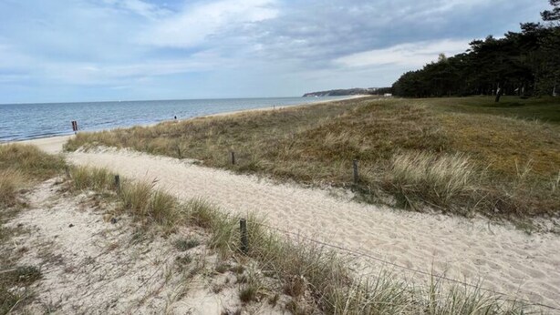 A sandy beach path with grass and a fence, leading to a body of water. - Holiday Home With Direct Access to the Beach (Ostseebad Baabe)
