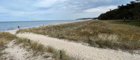 House | View from property