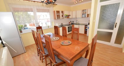 Cozy Apartment in Eastern Bohemia Near Town Center