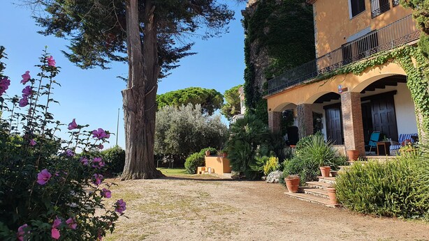 Une cour avec un grand arbre, des plantes en pot et un bâtiment doté d’un balcon.