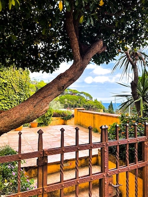 Stroll through a serene garden with a majestic tree branch overhead, surrounded by a secure fence and a glimpse of the ocean in the distance.