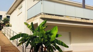 Una casa moderna de dos pisos con techo plano, puerta de garaje y una planta de plátano grande en el jardín delantero.