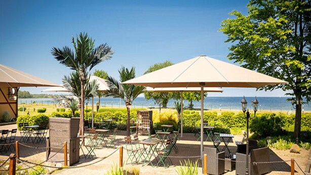 Un espace extérieur aménagé avec des tables et des chaises sous des parasols, un petit étang avec des nénuphars, et une vue sur la plage et l’océan.