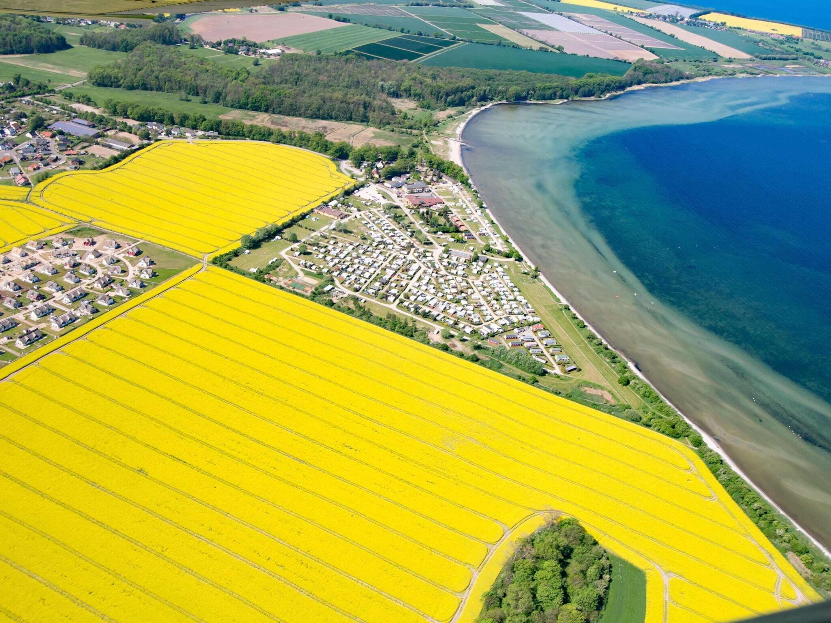 An aerial view of a coastal area with yellow fields, a residential area, and a large body of water.