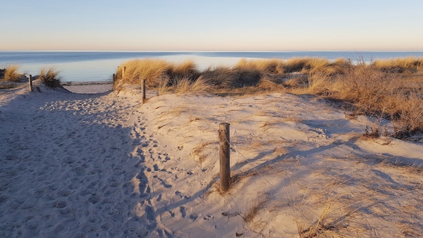 Ein sandiger Strand mit einer Holzlattenumzäunung und trockenem Gras.