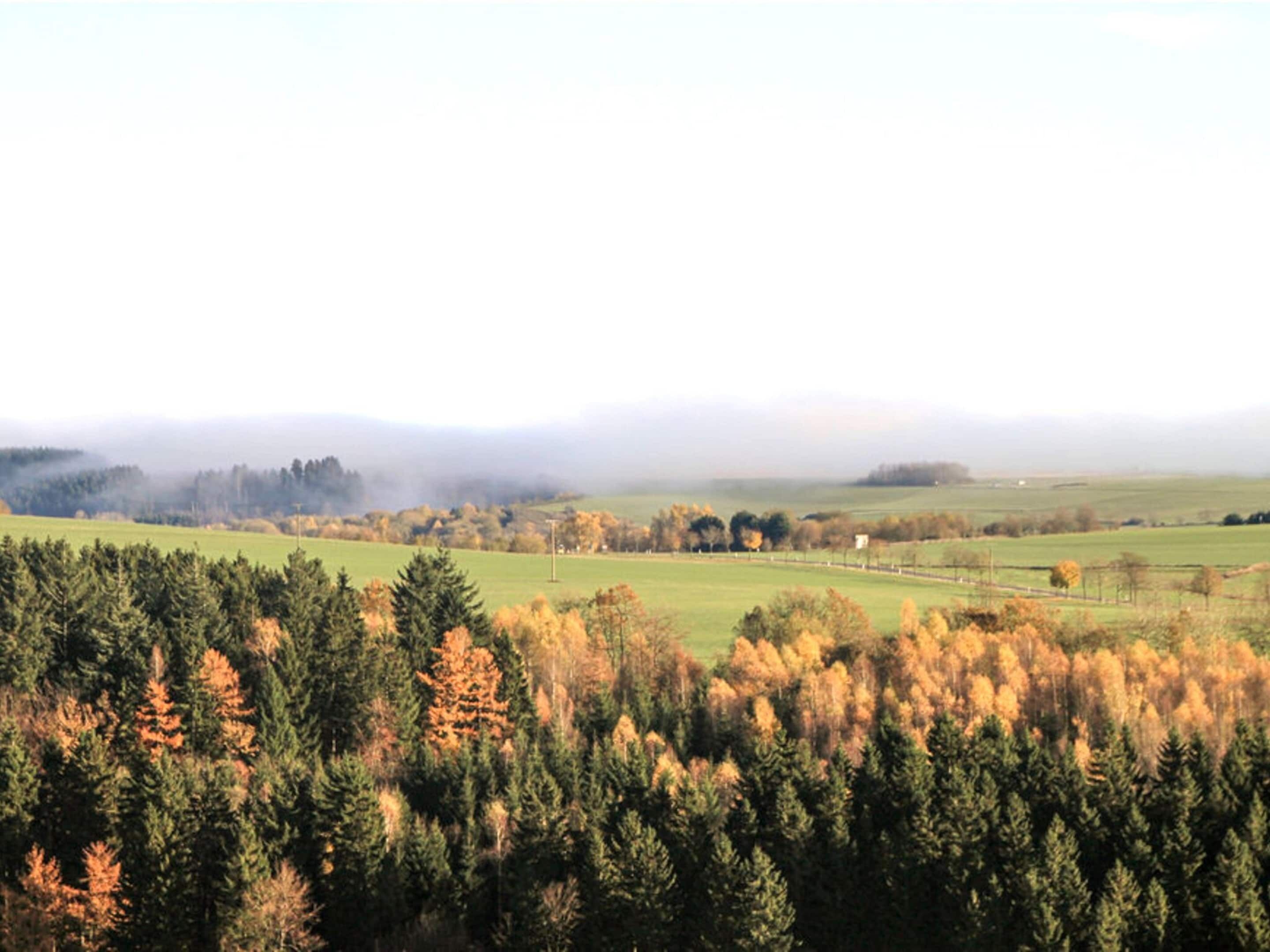 A forested landscape with a view of distant fields and a misty horizon.