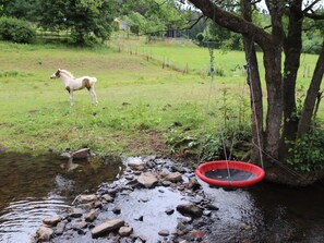 Un caballo en un campo con una estructura circular roja cerca de un árbol junto a un arroyo.