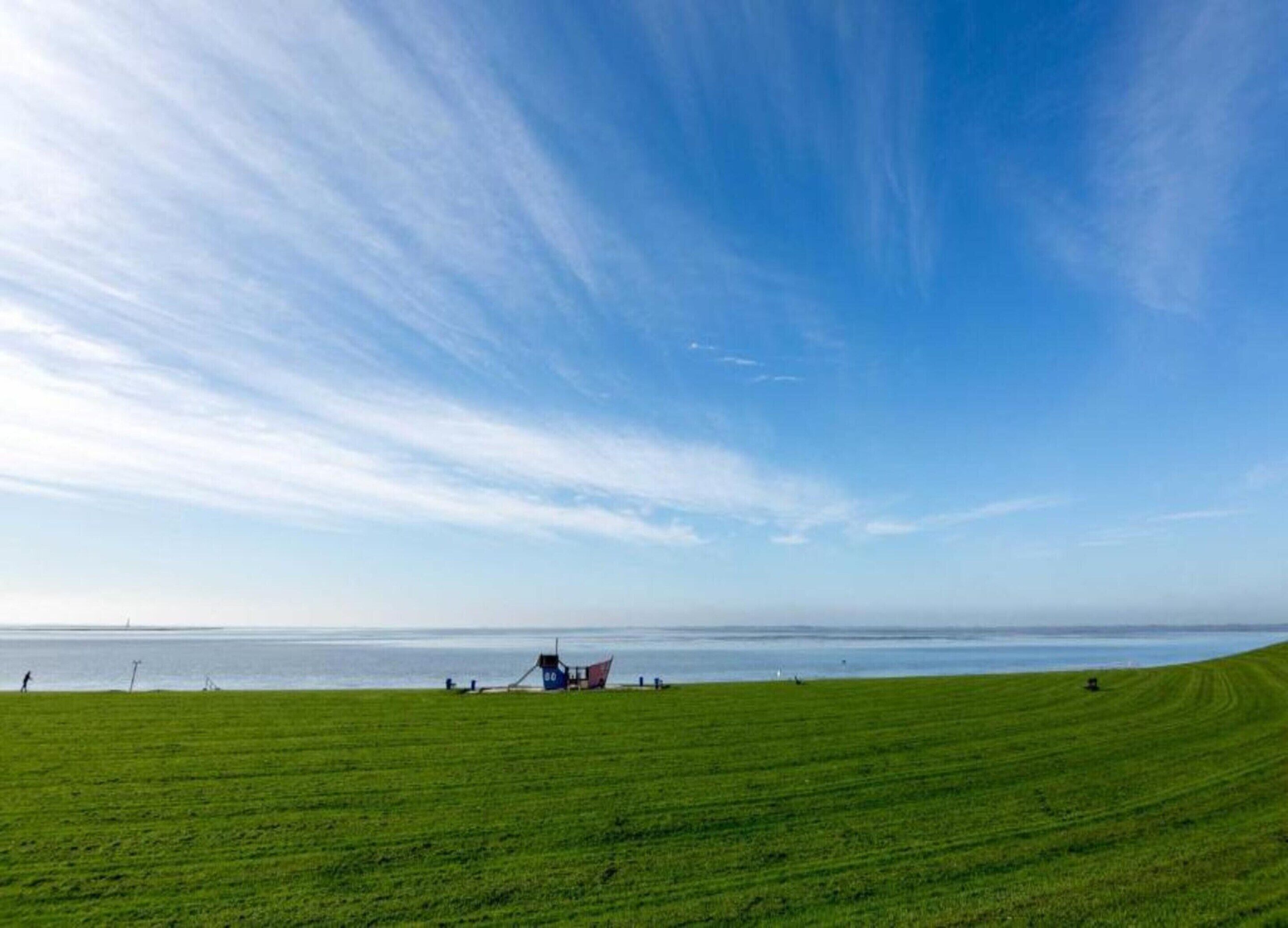 A wide-open grassy field with a clear sky and a distant horizon.