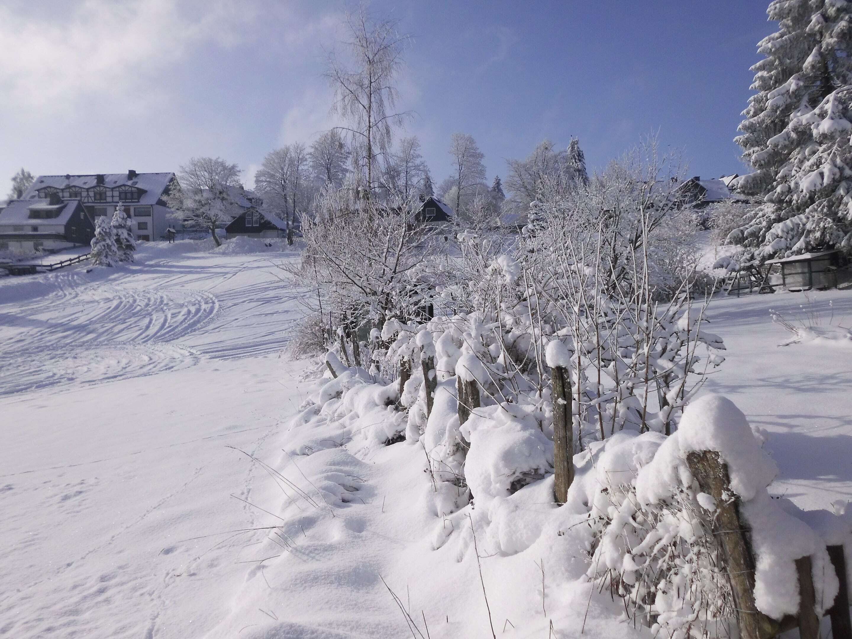 A snow-covered landscape with a wooden fence, bare trees, and houses in the background.