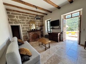 TV connectée, cheminée, lecteur de DVD, livres