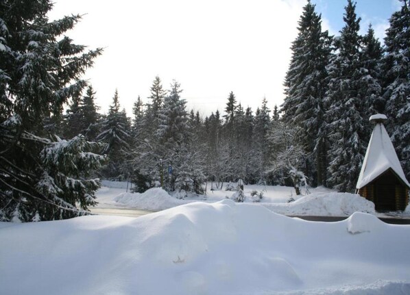 Casa | Vista desde la propiedad