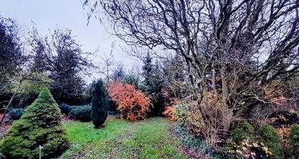 Spacious Holiday Home in the Beautiful Eifel