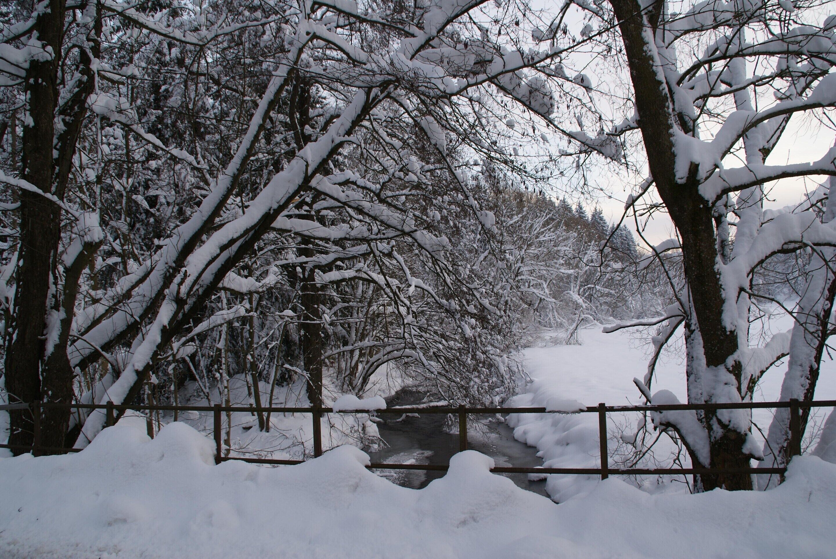 Paisagem coberta de neve com árvores e uma cerca de madeira.