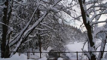 Paisagem coberta de neve com árvores e uma cerca de madeira.