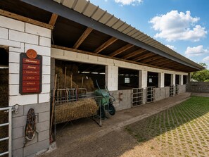 Ferienhaus | Unterkunftsgelände
