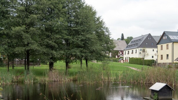 Een rustig meer met hoge grassen en een kleine houten constructie op de voorgrond. Achtergrond met bomen en een groot gebouw met meerdere ramen en een schuin dak.