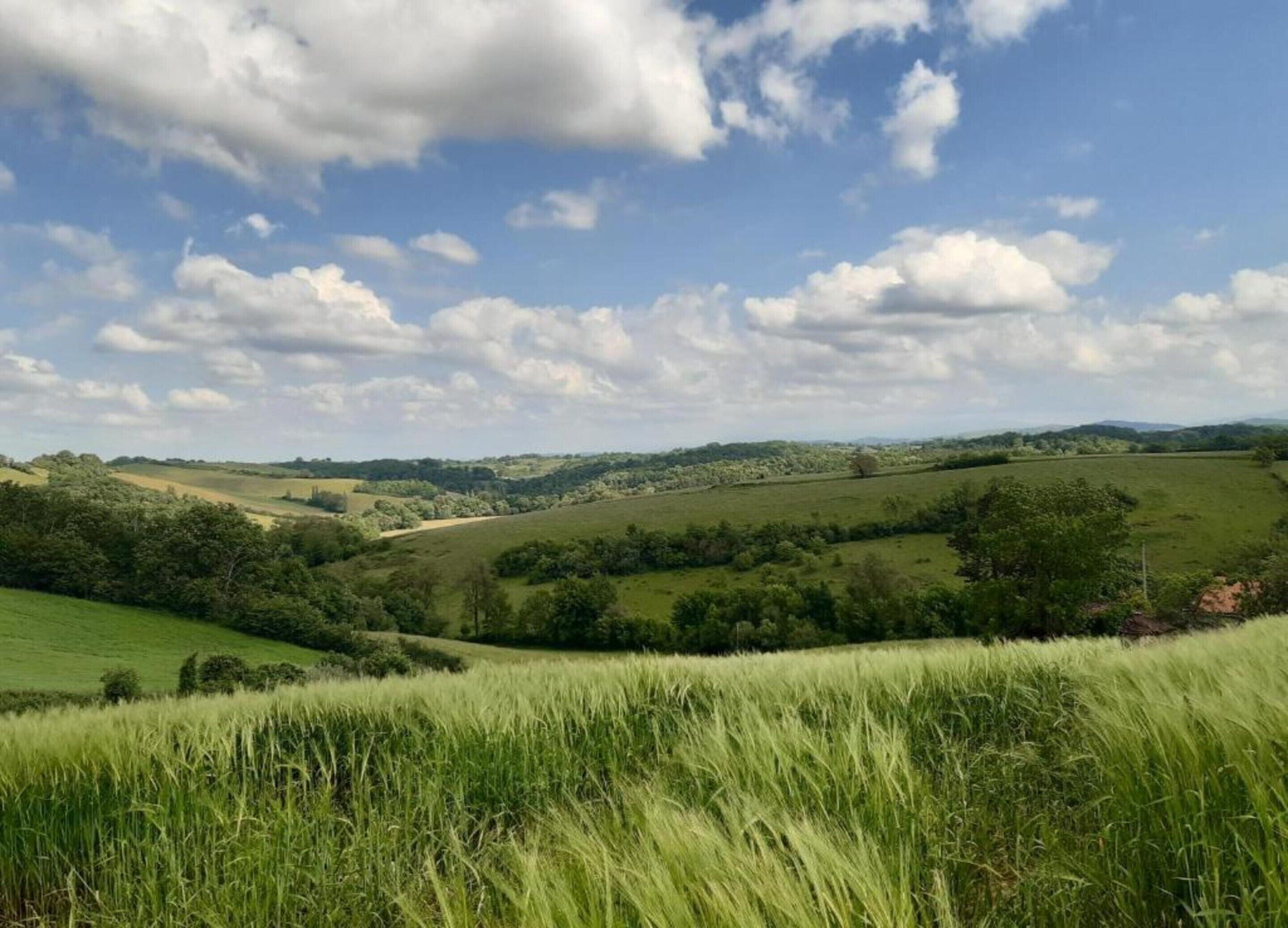 Rolling green hills, a clear sky, and scattered clouds.
