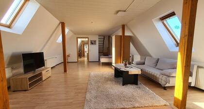 Apartment Near Jadeweserport and Centre