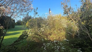 Un jardin avec différents arbres et arbustes, un ciel bleu dégagé et un bâtiment situé au loin.